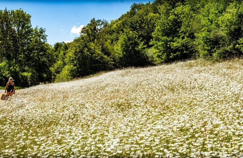 Lentekriebels bij Sunclass Durbuy